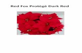 Red Fox Protègè Dark Red · 2018-01-10 · Red Fox Protègè Dark Red. 2009 Vaso 17 serra (T media) ... coltivazione a bassa T per quanto riguarda la ... Non effettuato il test
