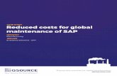 CASE STUDY Reduced costs for global maintenance of …qforservices.com/wp-content/uploads/2017/04/QSource_Case... · 2017-04-13 · Reduced costs for global maintenance of SAP Enterprise