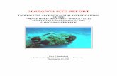 Slobodna Site Report - Cory Retherfordcoryretherford.com/sites/ScubaMyWorld/Documents/Slobodna_Site_R… · slobodna site report underwater archaeological investigations of the “winch