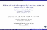 Using micro-level automobile insurance data for macro ...users.math.msu.edu/users/valdezea/Brazil2009Valdez.pdf · Using micro-level automobile insurance data for macro-eﬀects ...