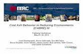 Coal Ash Behavior in Reducing Environments (CABRE…tu-freiberg.de/sites/default/files/media/professur-fuer-energiever... · Coal Ash Behavior in Reducing Environments (CABRE) III