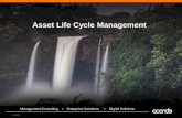 Asset Life Cycle Management - SAPSA Kraftfullt … solution is based on the main process but with technical solutions according to the current ERP system. Preparations Analyze Report
