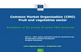 Common Market Organisation (CMO) Fruit and vegetables …ec.europa.eu/agriculture/sites/agriculture/files/russian-import... · Common Market Organisation (CMO) Fruit and vegetables