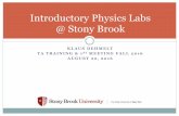 Introductory Physics Labs @ Stony Brookgraduate.physics.sunysb.edu/orientation/2016/labs-2016.pdf · Introductory Physics Labs @ Stony Brook. Introduction ... ÙMeet with Physics