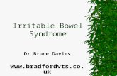 Irritable Bowel Syndrome - University of Pittsburghsuper7/8011-9001/8941.ppt · PPT file · Web viewTimes New Roman Arial Black Arial Wingdings Bamboo Диаграмма Microsoft