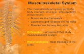 Musculoskeletal System - Weeblybatte .Musculoskeletal System • The musculoskeletal system gives
