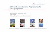 Different Jurisdictions’ Approaches to Emerging Risks Cetnik.pdf · Different Jurisdictions’ Approaches to Emerging Risks Wednesday 3rd September 2008 Boris Cetnik Partner, Berrymans