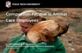Compassion Fatigue in Animal Care Employees · Employee reactions and adjustment to euthanasia -related work: identifying turning-point events through retrospective narratives. Journal