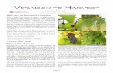 Welcome to Veraison to Harvest - Viticulture · Now in its 9th year, Veraison to Harvest is a joint project of the Lake Erie, Finger Lakes, ... Lake Erie received heavy rainfall of