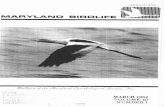 'J ! ;illlllllllllllll - University of New Mexico1)1984_0.pdf · head and neck, none on breast. Bird was in view about 2 and one-half minutes. Bird was in view about 2 and one-half