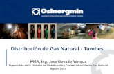Distribución de Gas Natural - Tumbes · ASME B31.8 – Gas Transmission and Distribution Piping Systems. 3).- ANSI/ASME B31.3 - Chemical Plant and Petroleum Refinery Piping. ANSI/ASME