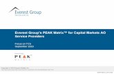Everest Group’s PEAK Matrix™ for Capital Markets AO ... · The 2016 BFSI-AO PEAK Matrix analyses focus on identifying the ... Development Maintenance Testing SI ... clients value