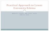 Practical Approach to Lower Extremity Edema · The most likely cause of leg edema ... Davis KR, Donnelly R. ABC of arterial and venous disease. Swollen lower limb-1: general assessment