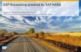 SAP Accounting powered by SAP HANA · SAP Simple Finance Dr. Christoph Ernst, Head of Centre of Excellence Finance, SAP Deutschland SE & Co. KG SAP-Forum für die Versorgungswirtschaft,