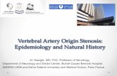 Vertebral(Artery(Origin(Stenosis: EpidemiologyandNatural ... · Vertebral(Artery(Origin(Stenosis: EpidemiologyandNatural History: M. Mazighi, MD, PhD, Professor of Neurology, Department
