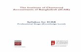 The Institute of Chartered Accountants of Bangladesh (ICAB) · The Institute of Chartered Accountants of Bangladesh (ICAB) Syllabus for ICAB Professional Stage (Knowledge Level) ...