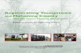 Regenerating Youngstown and Mahoning County · Regenerating Youngstown and Mahoning County ... in Rochester, NY. For biographical infor-mation on the assessment team members, please