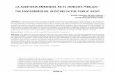 LA AUDITORÍA AMBIENTAL EN EL DERECHO …blog.newtonpaiva.br/direito/wp-content/uploads/2017/02/DIR31-03.pdf · the environmental auditing, ... debatido los problemas ambientales