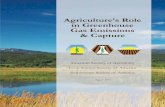 Agriculture’s Role in Greenhouse Gas Emissions & Capture · Agriculture’s Role in Greenhouse Gas Emissions & Capture American Society of Agronomy Crop Science Society of America