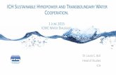 ICH SUSTAINABLE HYROPOWER AND TRANSBOUNDARY WATER COOPERATION€¦ · •The Sustainable Development of Hydropower Initiative seeks to share expertise, best practices, and methodologies