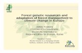 Forest genetic resources and adaptation of forest ... · Forest genetic resources and adaptation of forest management to climate change in Europe Jarkko Koskela EUFORGEN Coordinator