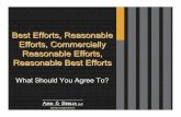 Best Efforts, Reasonable Efforts, Commercially Reasonable ... Presentation.pdf · Best Efforts, Reasonable Efforts, Commercially Reasonable Efforts, Reasonable Best Efforts What Should