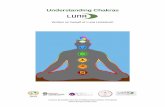 Understanding Chakras - Luna Holistic Training Courses€¦ · Understanding Chakras Written on behalf of Luna Holistics ... Indian medicine, are believed to exist in the surface