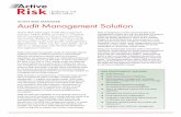 ACTIVE RISK MANAGER Audit Management Solution · ACTIVE RISK MANAGER Audit Management Solution AMS FUNCTIONALITY INCLUDES: ... internal audit process across business …