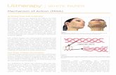 REFERENCES intense WHITE PAPER Initial Lift …€¦ · ultrasound waves induce a vibration in molecules within ... analysis, Bozec and Odlyhan ... This white paper outlines Ultherapy’s