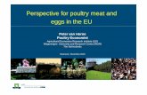 Perspective for poultry meat and eggs in the EU · Perspective for poultry meat and eggs in the EU Peter van Horne Poultry Economist Agricultural Economics Research institute (LEI)