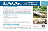 FAQs: Health Effects - colorado.gov · cigarette smoke. Marijuana also can ... These effects typically last two to three hours after marijuana is smoked or ... supply and can result