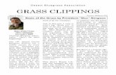 Desert Bluegrass Association GRASS CLIPPINGSdesertbluegrass.org/wp-content/uploads/2016/03/NslDecJan10.pdf · Greetings Bluegrass Aficio-nados. Here’s the latest happenings. Our