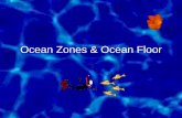 Ocean Zones & Ocean Floor - Kyrene School District · Ocean Zones & Ocean Floor. Ocean Zones. Which Zone? 1. Each group will be given a set of words ... Ocean Floor Model #1. Ocean