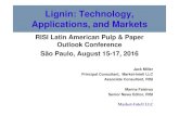 Lignin: Technology, Applications, and Markets - RISI · Market-Intell LLC Lignin: Technology, Applications, and Markets RISI Latin American Pulp & Paper Outlook Conference São Paulo,