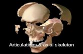 Articulations & axial skeleton - Cuyamaca College · Articulations & axial skeleton Articulations & axial skeleton. Classification of articulations/joints • Two classification methods: