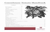P1828 Greenhouse Tomato Handbook - Virginia Tech Tomatoes... · greenhouse tomato production. ... Hybrid tomato seed is expensive. It now cos ts 10 to 30 cents per seed, dependin