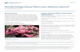 Florida Foliage House Plant Care: Adenium obesumedis.ifas.ufl.edu/pdffiles/EP/EP47400.pdf · Florida Foliage House Plant Care: Adenium obesum1 ... Adenium and Pachypodium. Cactus