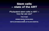 Stem cells state of the ART - nilsivf.com kragh NILS2015.pdf · Stem cells –state of the ART ... SCNT somatic cell nuclear transfer 3. iPS cells induced pluripotency. Embryonic