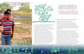 53€¦ · drought management for planning of water conservation and recharge.” ... Gautam Budh Nagar, Uttar Pradesh NOIDA 53. Village pond status in Gautam Budh Nagar