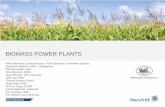 BIOMASS POWER PLANTS - I mia · Pat Jennings, HSB. Tom Wilson, Inter Hannover. BIOMASS POWER PLANTS. 1. Scope of Paper 2. Fuel and Technology 3. Insurance Risks 4. Conclusion. Agenda