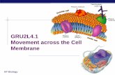 GRU2L4.1 Movement across the Cell Membraneking.jpschools.org/.../2016/08/GRU2L4.1Movement-across-cell-memb… · substances . AP Biology Diffusion ... Active Transport ... § no net