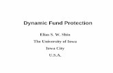 Dynamic Fund Protection - MENU · Dynamic Investment Fund Protection, ... the time-0 “value” of this Dynamic Fund Protection contract is ... we consider the case K(t) = βegt