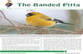 Welcome to irdtour Asia’s 2014 festive newsletter, a look Reports/Birdtour Asia Newsletter... · Welcome to irdtour Asia’s 2014 festive newsletter, a look ... provinces visited