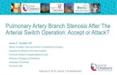 Pulmonary Artery Branch Stenosis After The Arterial Switch Operation … · Pulmonary Artery Branch Stenosis After The Arterial Switch Operation: Accept or Attack? James S. Tweddell,