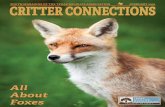 YOUTH MAGAZINE OF THE TEXAS WILDLIFE ASSOCIATION FEBRUARY ... · critter connectionsyouth magazine of the texas wildlife association february 2018 all about foxes
