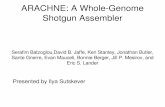 ARACHNE: A WholeGenome Shotgun Assemblerbrudno/csc2431/ilya_arachne.pdf · ARACHNE: A WholeGenome ... (Question to the audience: is it ... Links: 40K and 4K, ratio 20:1 or 10:1 ...Published