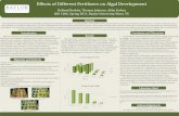 Effects of Different Fertilizers on Algal Development · Effects of Different Fertilizers on Algal Development Holland Korbitz, Thomas Johnson, Abby Forbes BIO 1406, Spring 2011,
