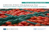 Responsible Agricultural Supply Chains - OECD · This document complements the OECD-FAO Guidance for Responsible Agricultural Supply Chains, ... and fisheries. ... Common Code for