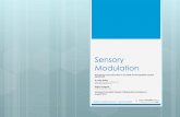 Sensory Modulation - Ballarat Health Servicesbhsdigitalrepository.bhs.org.au/bhsjspui/bitstream/11054/604/1... · Sensory input from the external senses affects nervous system ...