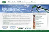 Horizontal Drilling In The Mississippi Lime: Examining … · Expert Insight from 20+ Executives and Industry Professionals Successfully Operating Horizontally In The Mississippi